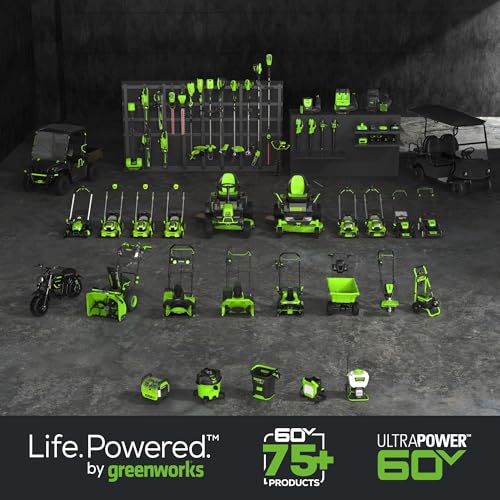 Cordless String Trimmer and Leaf Blower Combo Kit with Battery and Charger I68437