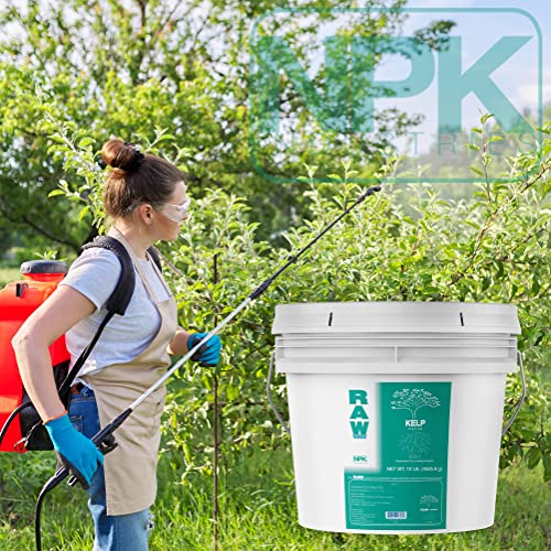 Kelp Biostimulant for Enhanced Plant Growth E76320