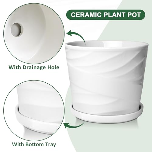 Ceramic Plant Pot with Saucer for Indoor Plants, 8 Inch, Gray White N8103