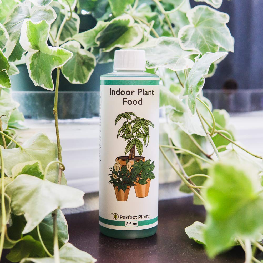 Liquid Indoor Plant Food, All-Purpose Fertilizer for Houseplants G7570