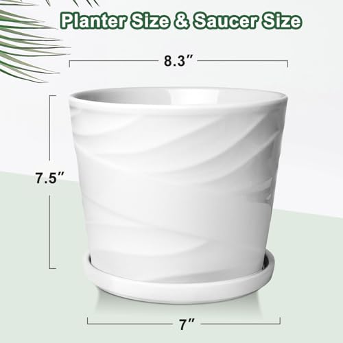 Ceramic Plant Pot with Saucer for Indoor Plants, 8 Inch, Gray White N8103