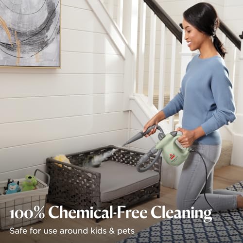 Handheld pressurized steamer with 10 cleaning tools E97617