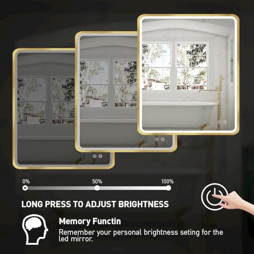 LED Bathroom Mirror with Light, Anti Fog Dimmable Wall Mounted B72533