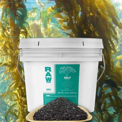 Kelp Biostimulant for Enhanced Plant Growth E76320