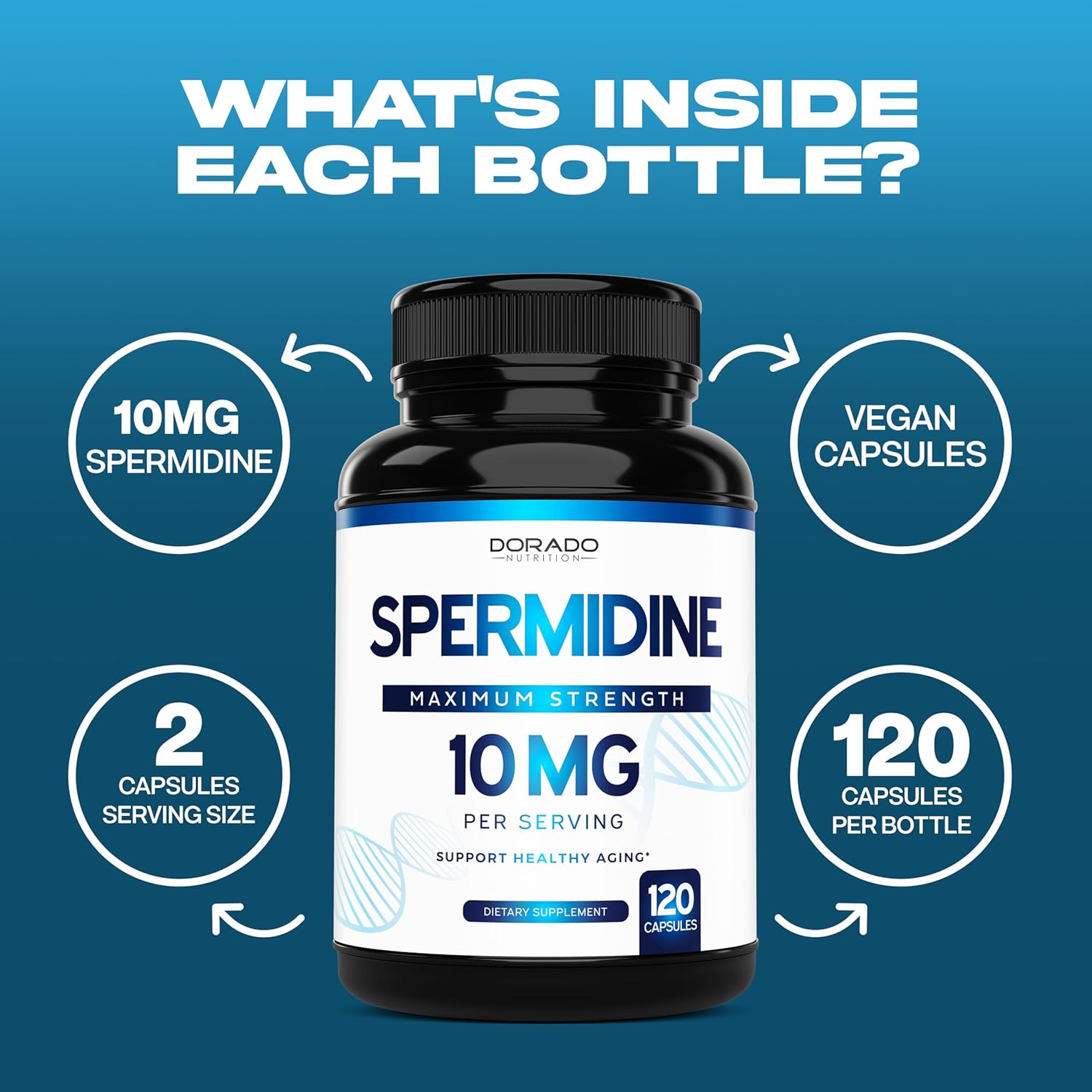 Spermidine Supplement 10mg, 120 Capsules, Gluten Free & Non-GMO R8332