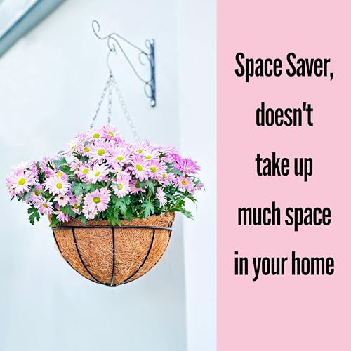 Hanging Baskets for Plants - 3 Pack, 10 Inch, Outdoor Planter with Coco Liner E591