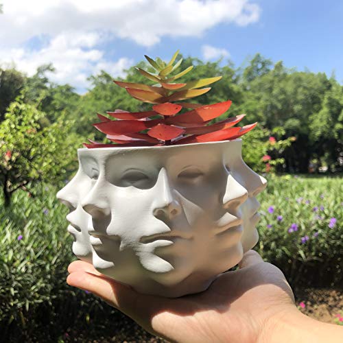 Small Face Succulent Planter Pot for Indoor Decor K417476