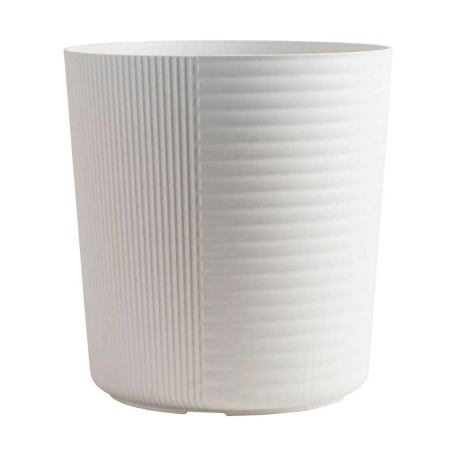 White Bird of Paradise Indoor Plant in White Pot R1313