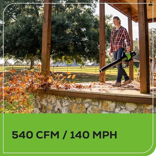 Cordless String Trimmer and Leaf Blower Combo Kit with Battery and Charger I68437