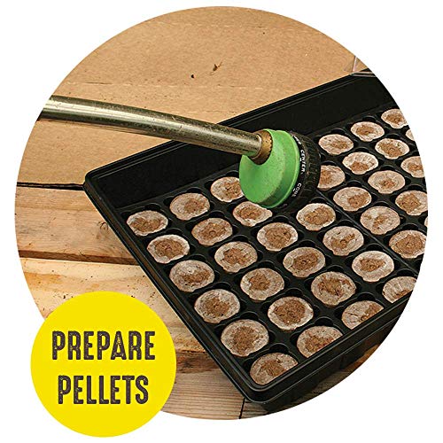 Seed Starting Tray Kit, 72 Cell with Peat Pellets, 2 Pack F545239