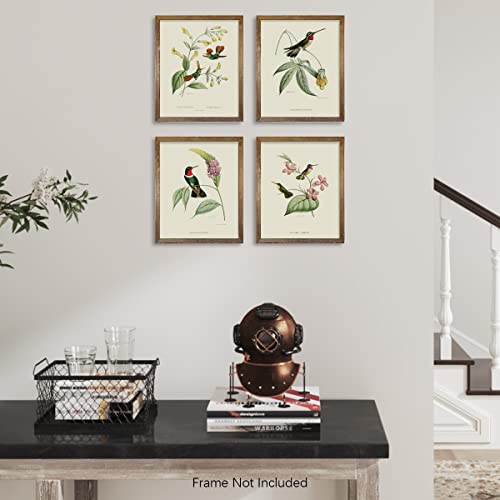 Bird Wall Art Hummingbird Botanical Flower Poster M427