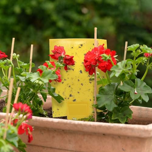 Dual-Sided Yellow Sticky Traps for Flying Plant Insects, 6x8 Inches, 30 Pack H20783