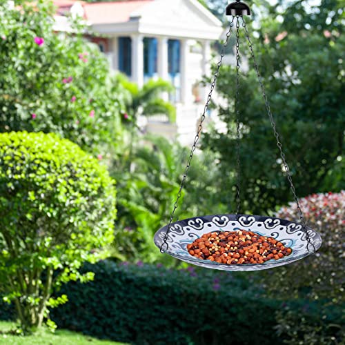 Hanging Bird Bath for Outdoors, 11 Inch Glass Bowl E2931