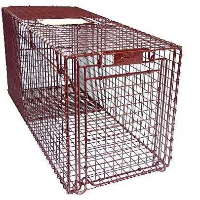 Humane Live Animal Trap for Cats, Easy Catch & Release G2403