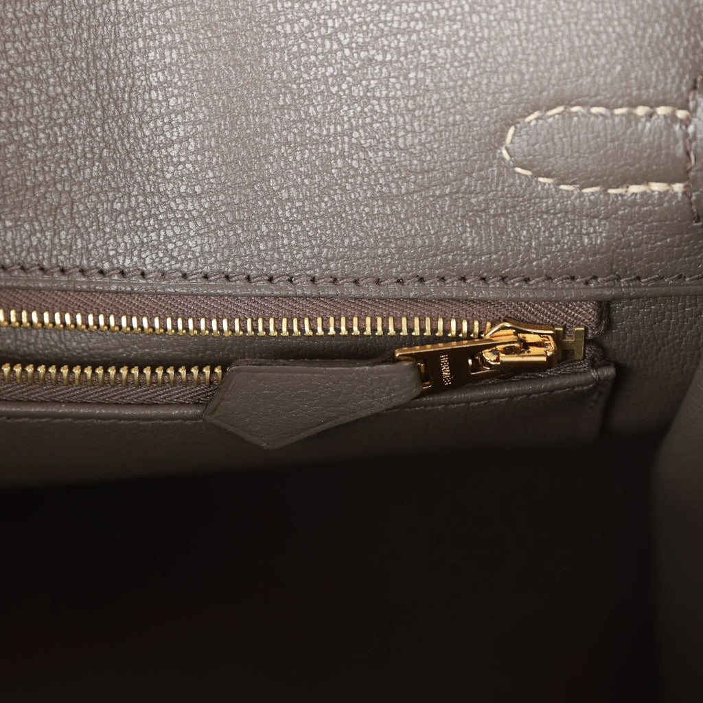 Birkin 25 Togo Leather Handbag with Gold Hardware Z2499