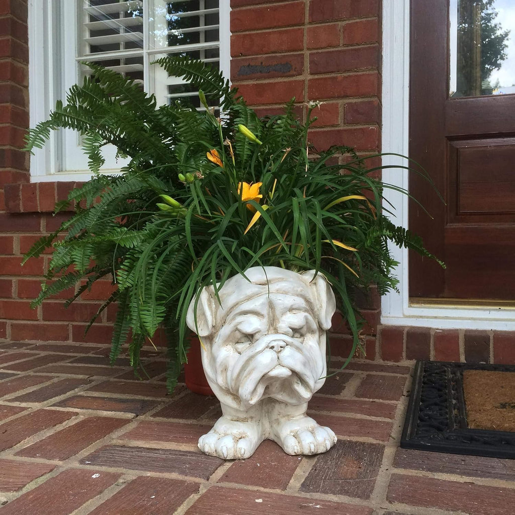 Antique White Bulldog Dog Statue Planter A33231
