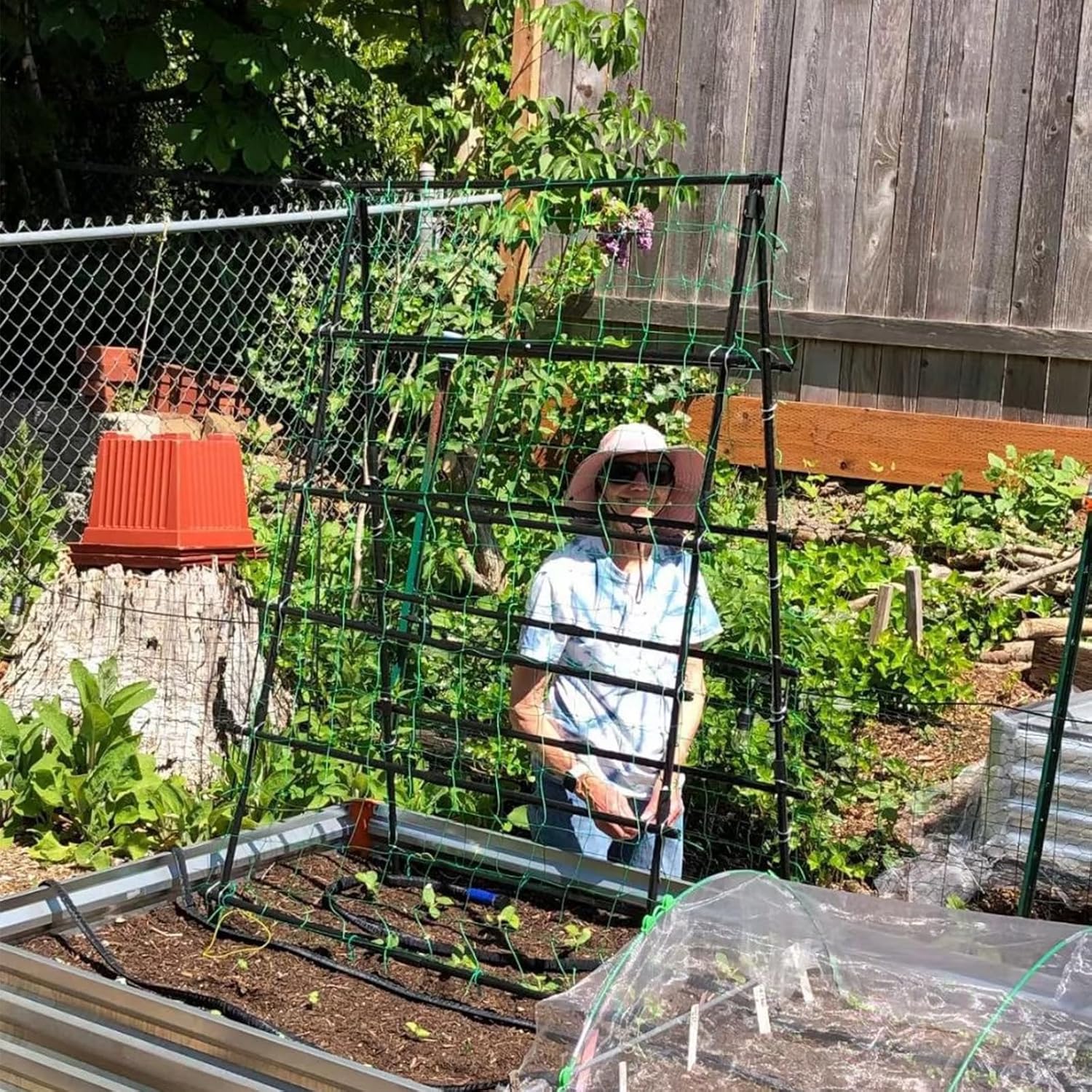 Cucumber Trellis A-Frame for Climbing Plants, Garden Grow Support with Plant Clips D5025