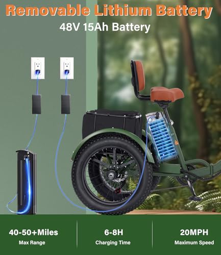 Adult Electric Tricycle 3 Wheel Bike Q8526