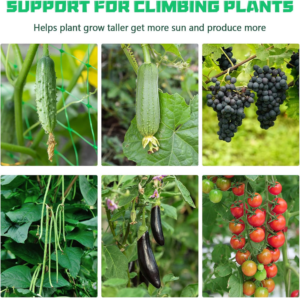 Cucumber Trellis A-Frame for Climbing Plants, Garden Grow Support with Plant Clips D5025