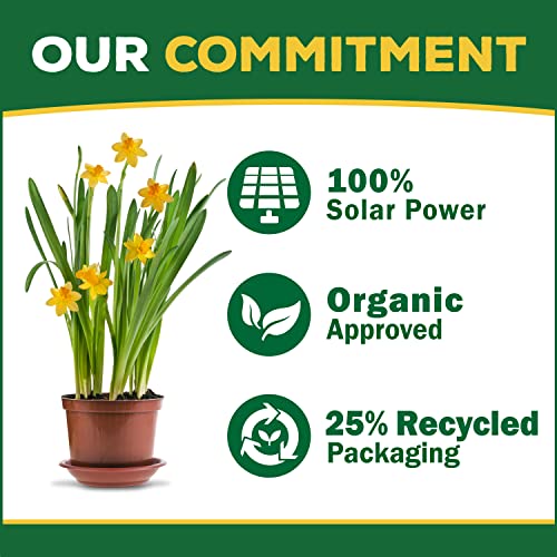 Organic Indoor Plant Food Concentrate for Pothos, Monstera & Palms E66961
