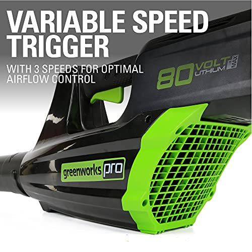 80V Cordless Brushless String Trimmer and Leaf Blower Combo with Battery and Charger A2707