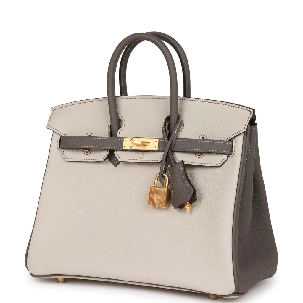Birkin 25 Togo Leather Handbag with Gold Hardware Z2499