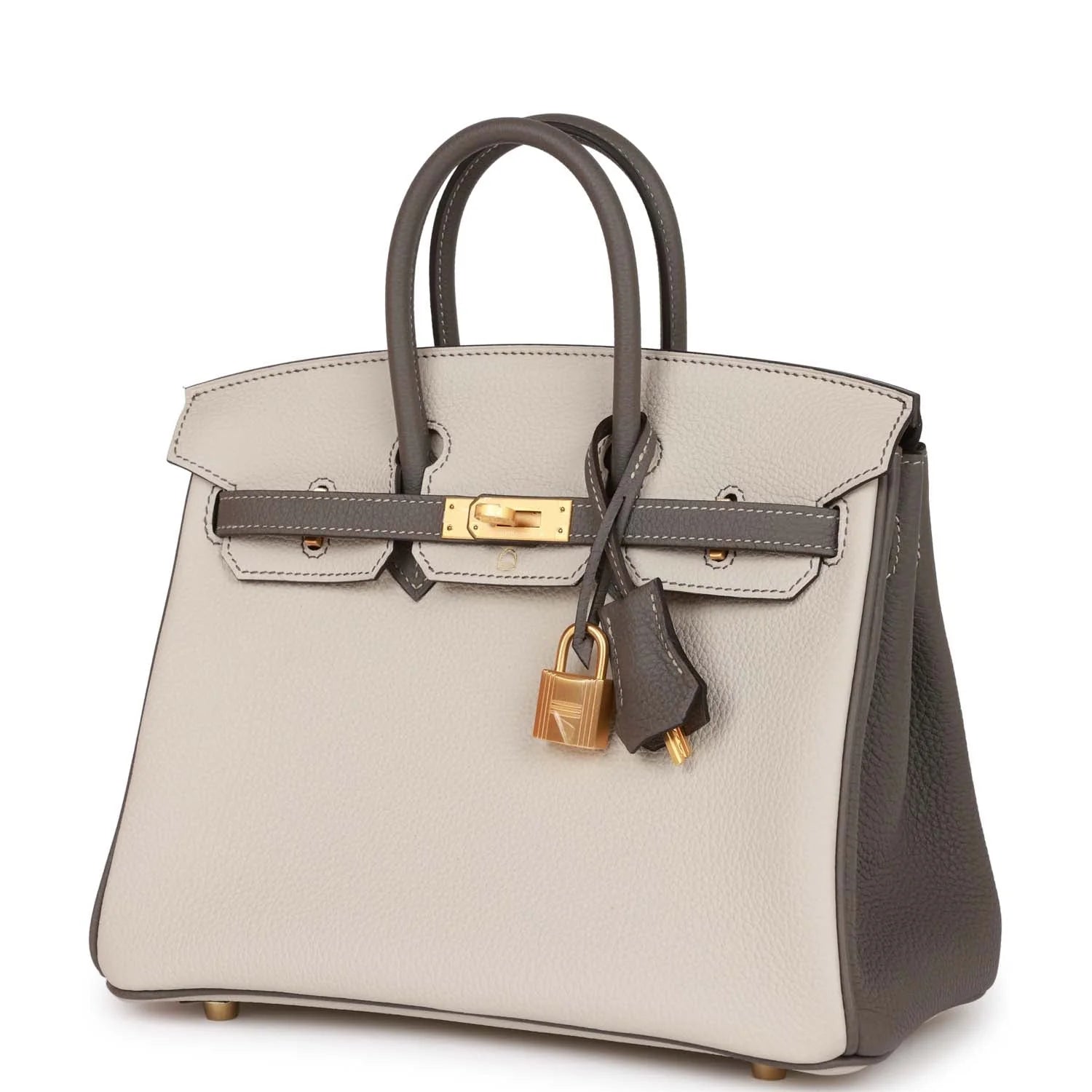 Birkin 25 Togo Leather Handbag with Gold Hardware Z2499