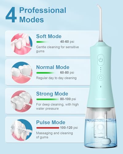 Cordless Water Flosser 300ml Rechargeable Oral Irrigator with 4 Modes and 4 Jet Tips D7941