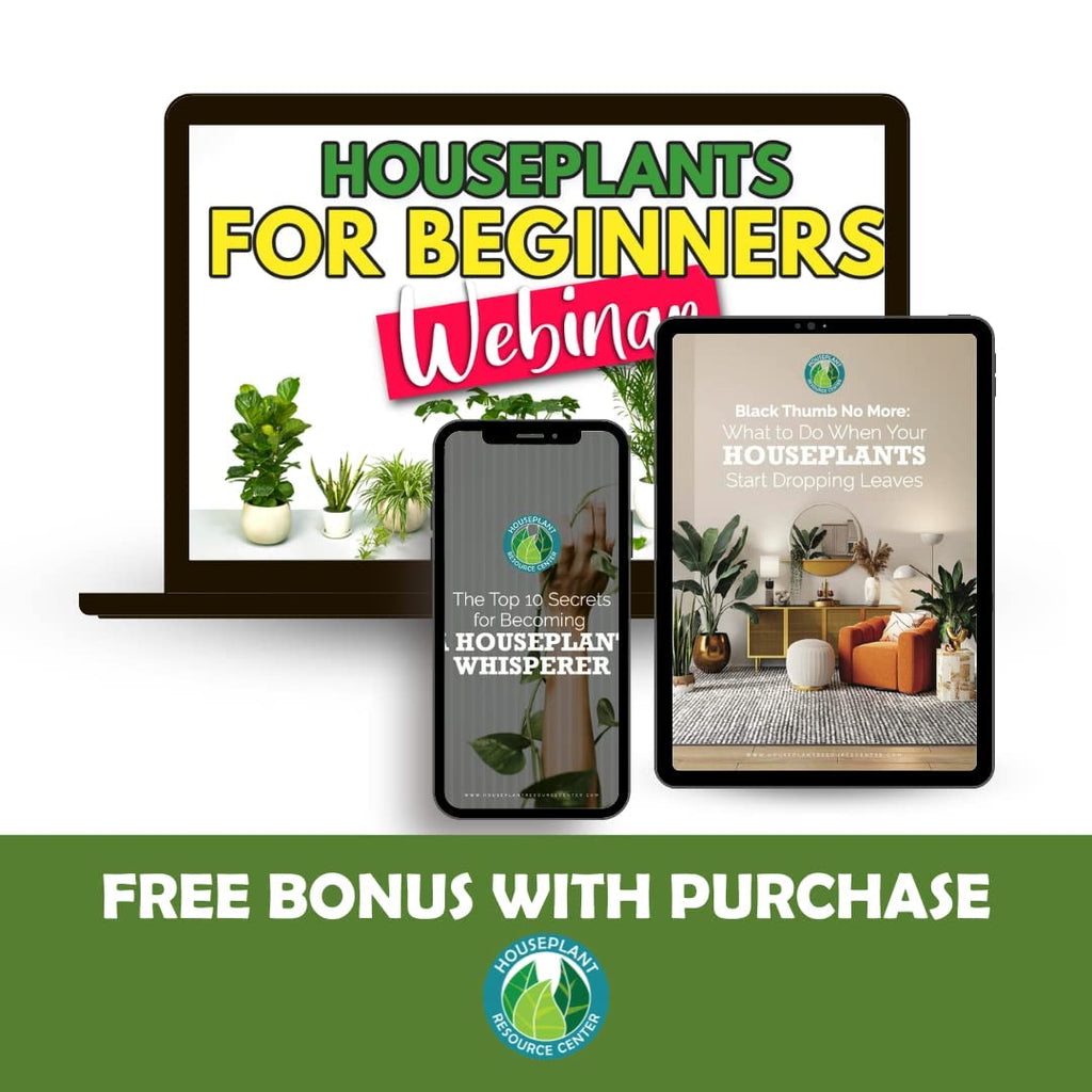 Organic Liquid Fertilizer for Indoor Plants, 8 oz Q197