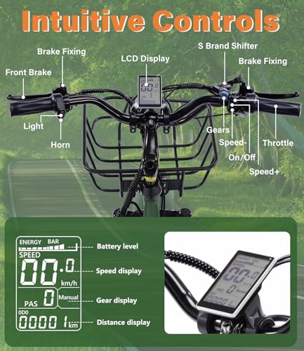 Adult Electric Tricycle 3 Wheel Bike Q8526