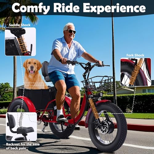 Adult Electric Tricycle 3 Wheel Bike Q8526