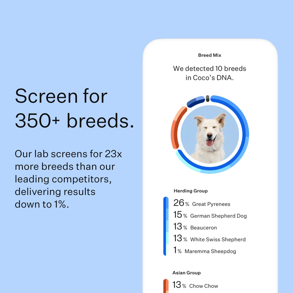 Dog DNA Test Kit for Breed Discovery N74730