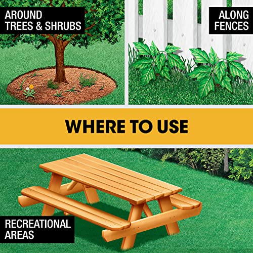 Poison Ivy Plus Tough Brush Killer for Weeds, Grass, Stumps and Vines, Comfort Wand, 1.33 gal. D4511