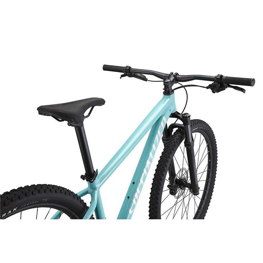 Mountain Bike White M29460