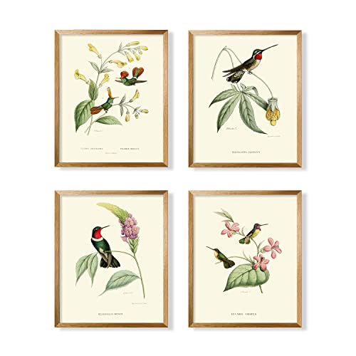 Bird Wall Art Hummingbird Botanical Flower Poster M427