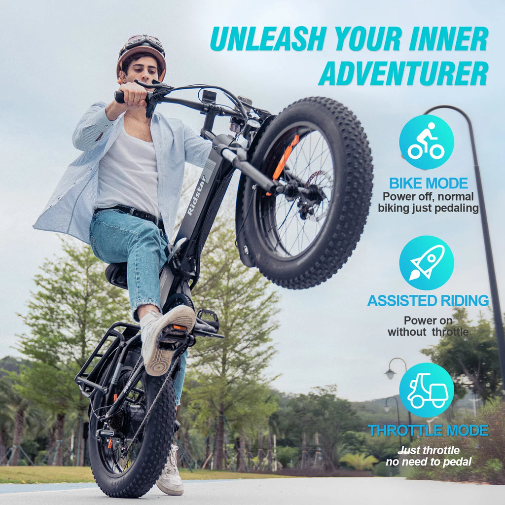 Folding Electric Bike for Adults, 750W Motor, 48V 14Ah Removable Battery, 20" Fat Tire, 7-Speed W876