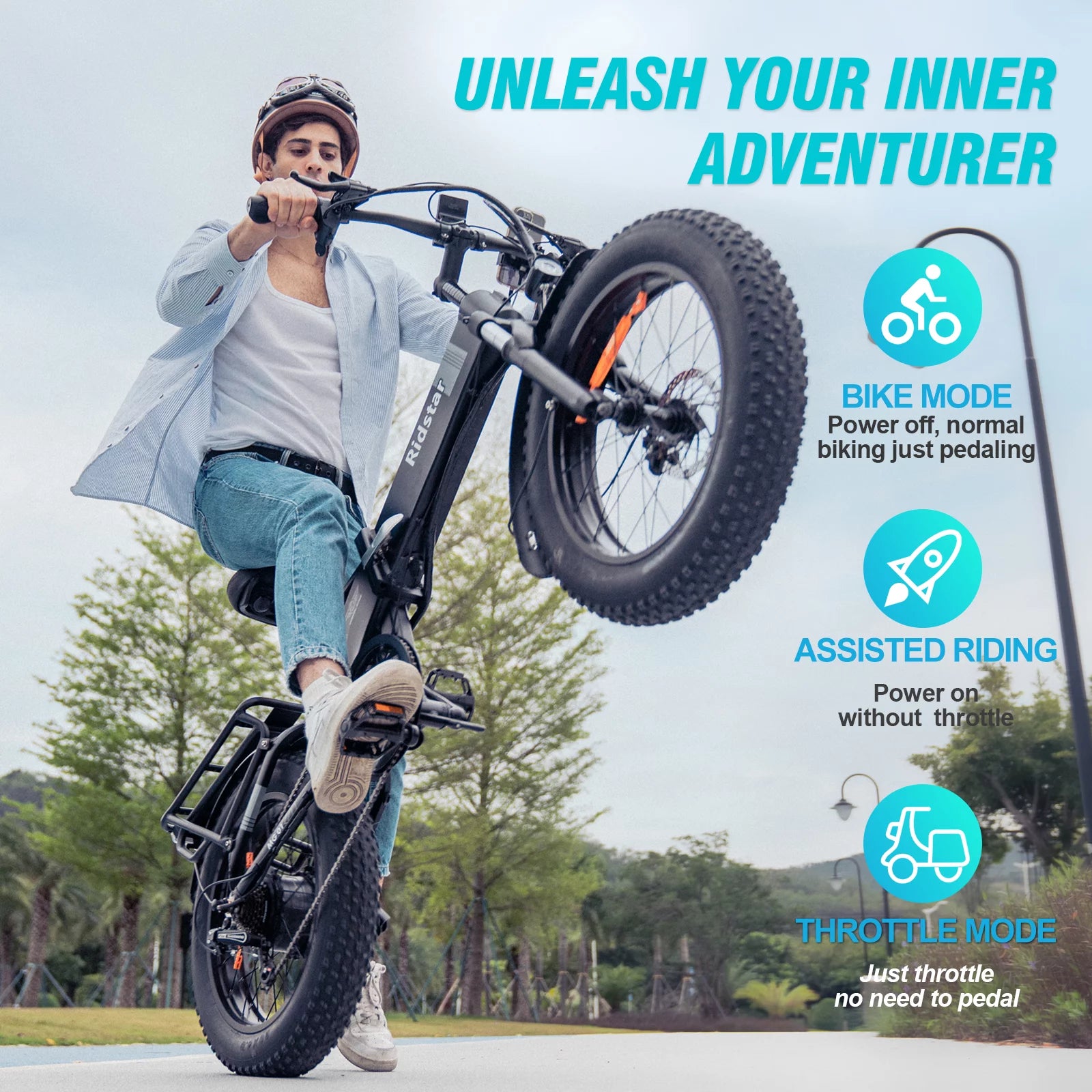 Folding Electric Bike for Adults, 750W Motor, 48V 14Ah Removable Battery, 20" Fat Tire, 7-Speed W876