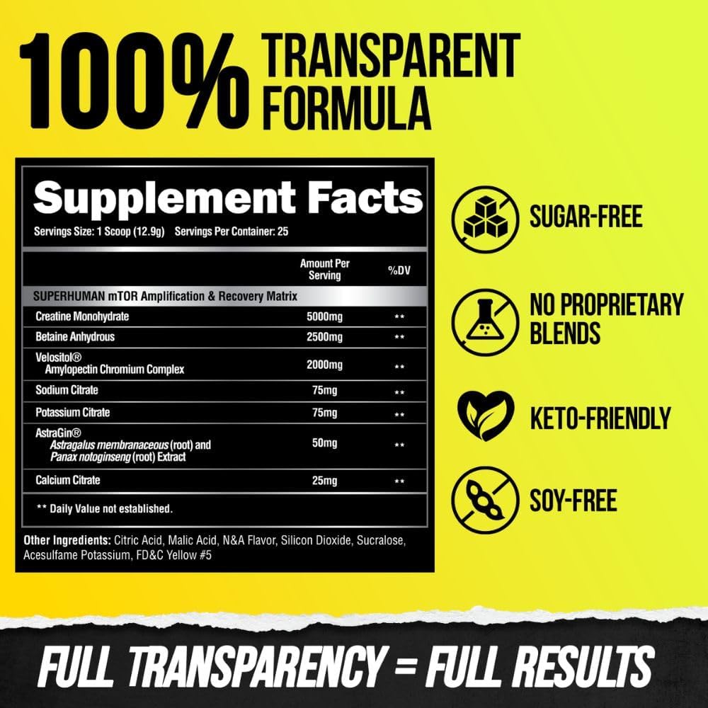 Pre Workout & Post Workout Recovery Bundle, Sustained Energy & Focus O55275