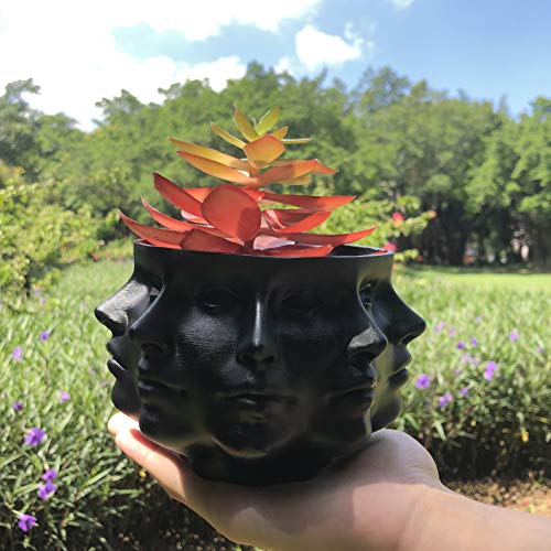 Small Face Succulent Planter Pot for Indoor Decor K417476