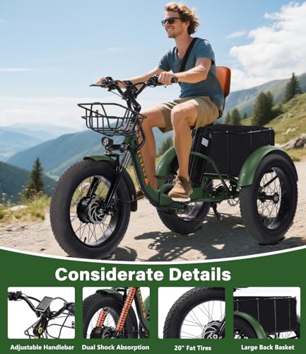 Adult Electric Tricycle 3 Wheel Bike Q8526