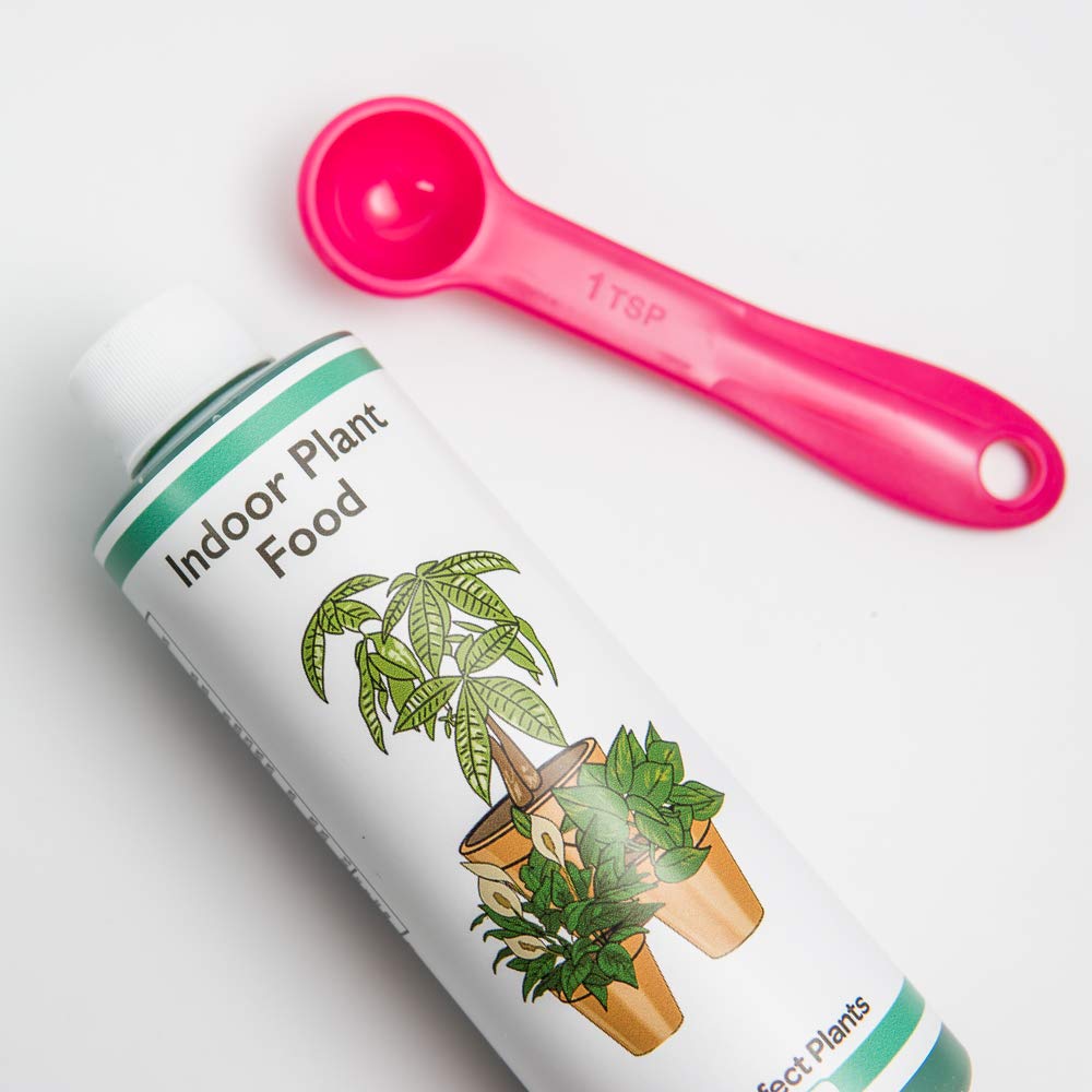 Liquid Indoor Plant Food, All-Purpose Fertilizer for Houseplants G7570