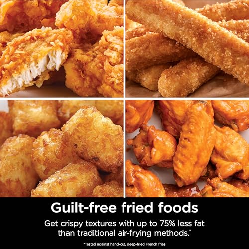 Air Fryer 4-in-1 with 5 QT Capacity, Nonstick Basket & Crisper Plate V1873