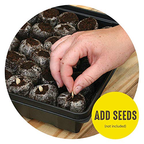 Seed Starting Tray Kit, 36 Cell with Peat Pellets, 3 Pack Q90398