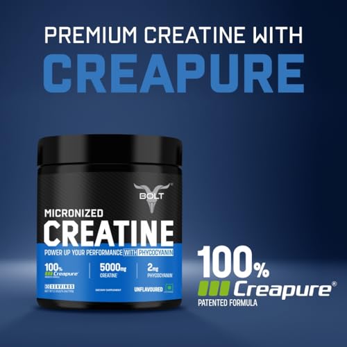 Creatine Monohydrate Powder, Orange Flavor, 30 Servings S632809