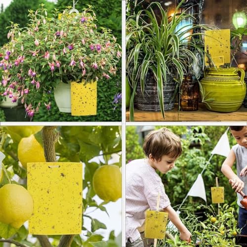 Dual-Sided Yellow Sticky Traps for Flying Plant Insects, 6x8 Inches, 30 Pack H20783