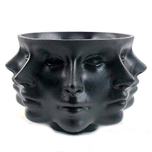 Small Face Succulent Planter Pot for Indoor Decor K417476