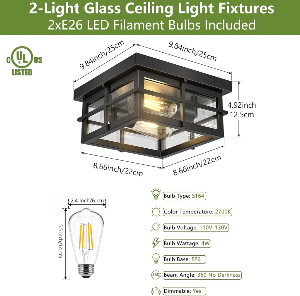 Modern Outdoor Ceiling Light Fixtures, 2-Light Black Flush Mount with Clear Glass Shade C16423