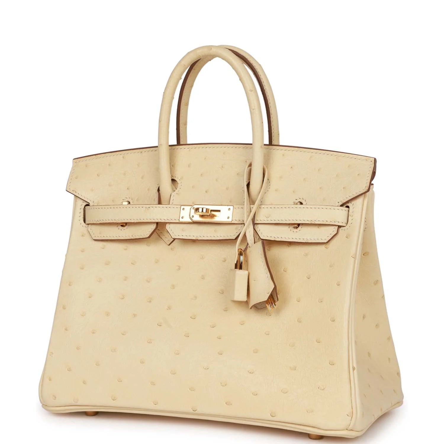 Ostrich Leather Handbag with Gold Hardware W129433