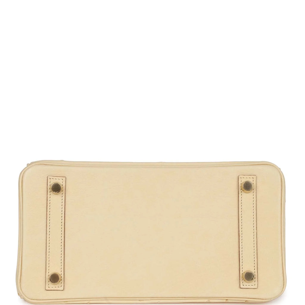 Ostrich Leather Handbag with Gold Hardware W129433