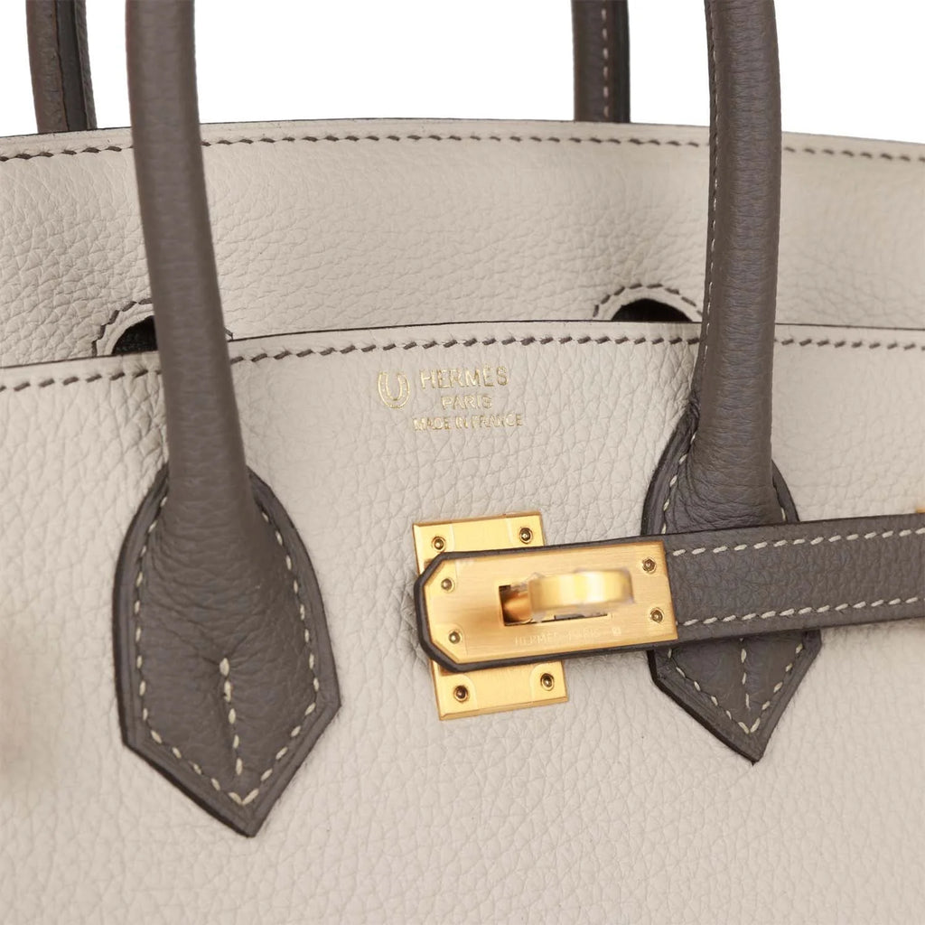 Birkin 25 Togo Leather Handbag with Gold Hardware Z2499